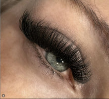 Load image into Gallery viewer, 10D D curl 0.05 Premade Lashes XL Trays - Plastic Trays