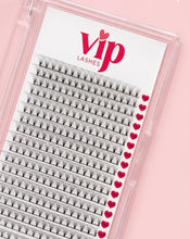Load image into Gallery viewer, 10D D curl 0.05 Premade Lashes XL Trays - Plastic Trays