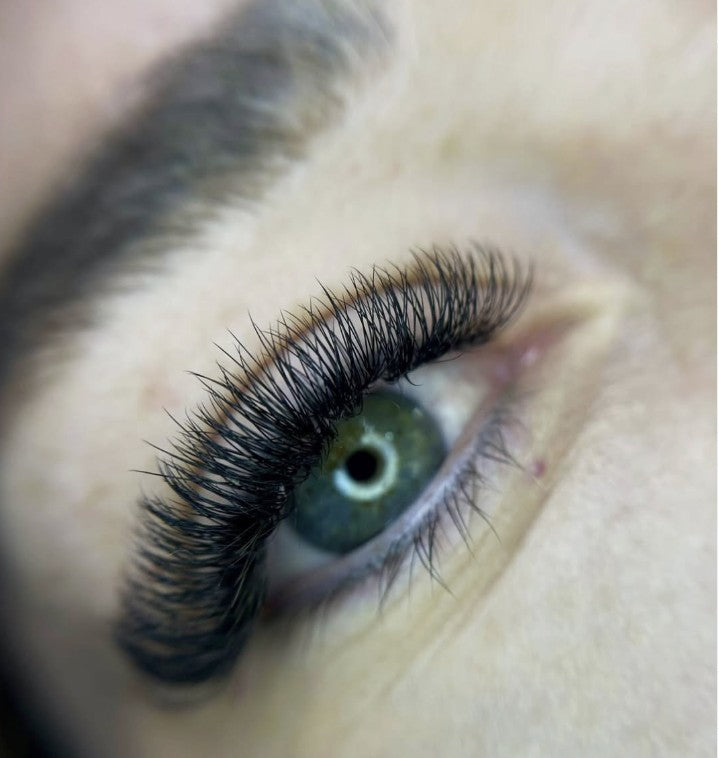 4D D curl 0.07 Premade Lashes XL Trays - Black Trays