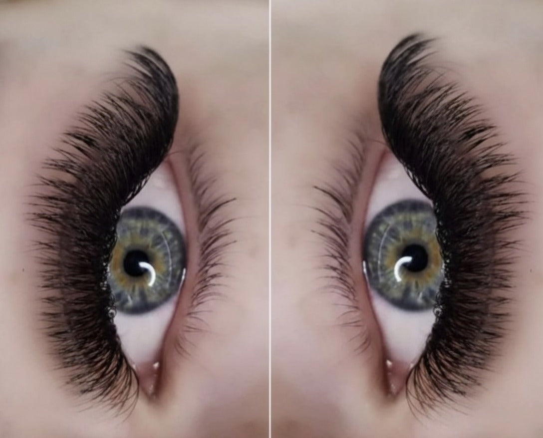 3D D curl 0.10 Premade Lashes XL Trays - Black Trays