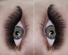 Load image into Gallery viewer, 3D D curl 0.10 Premade Lashes