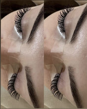 Load image into Gallery viewer, Closed Fans / Wet Set D curl 0.07 12 Row Mixed Trays - Plastic Trays