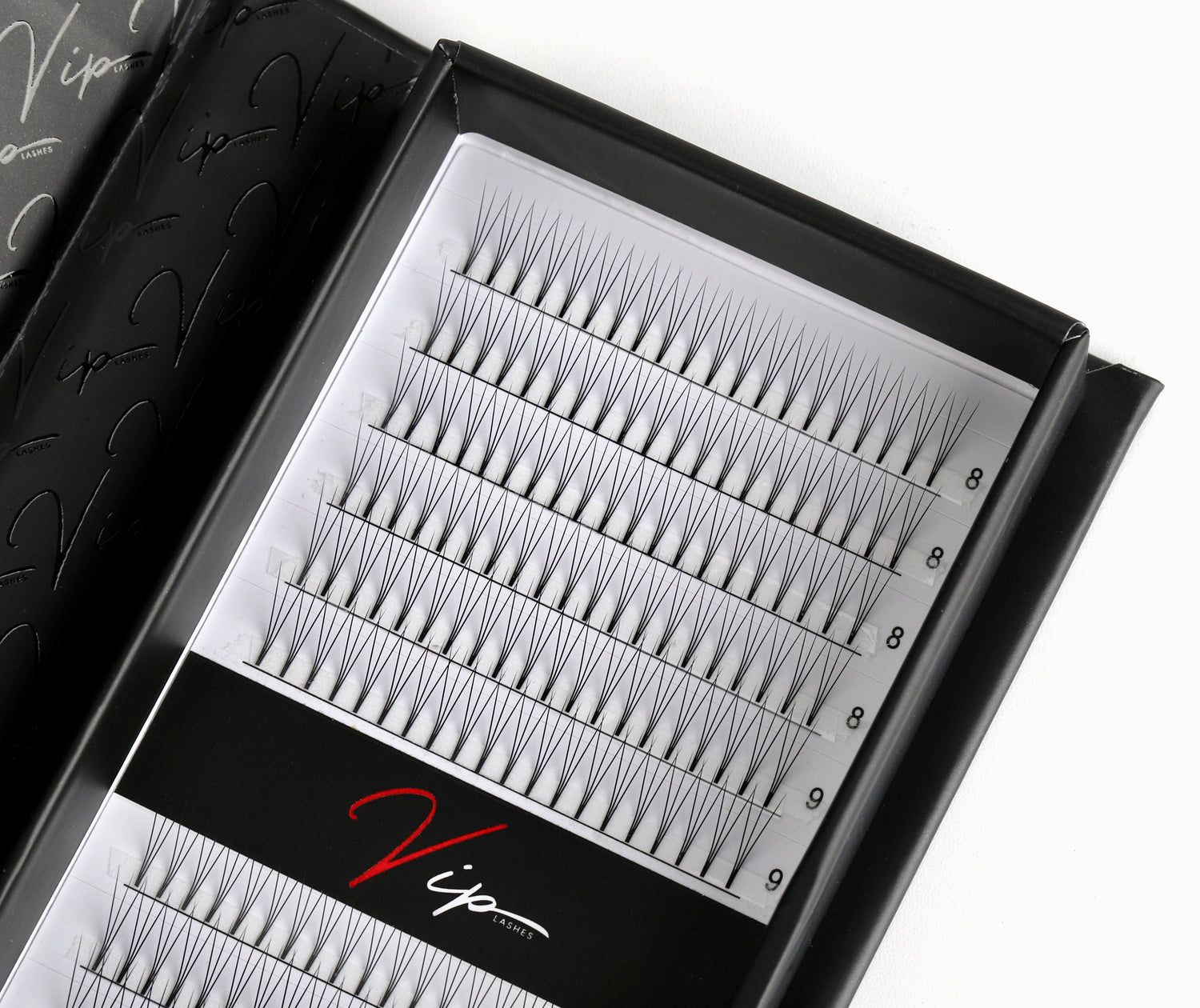 3D L Curl 0.10 12 Row Mixed Trays - Black Trays