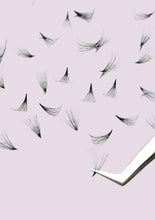 Load image into Gallery viewer, 20D Promades 500 Fans .03 - Plastic Trays