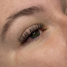 Load image into Gallery viewer, Closed Fans / Wet Set D curl 0.07 12 Row Mixed Trays - Plastic Trays