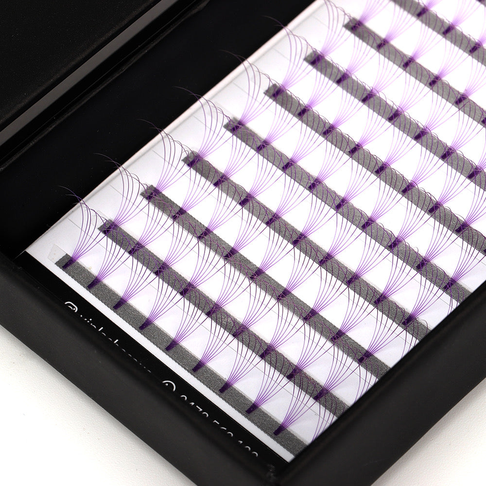 Purple 6D D curl 0.07 12 Row Trays - Black Trays