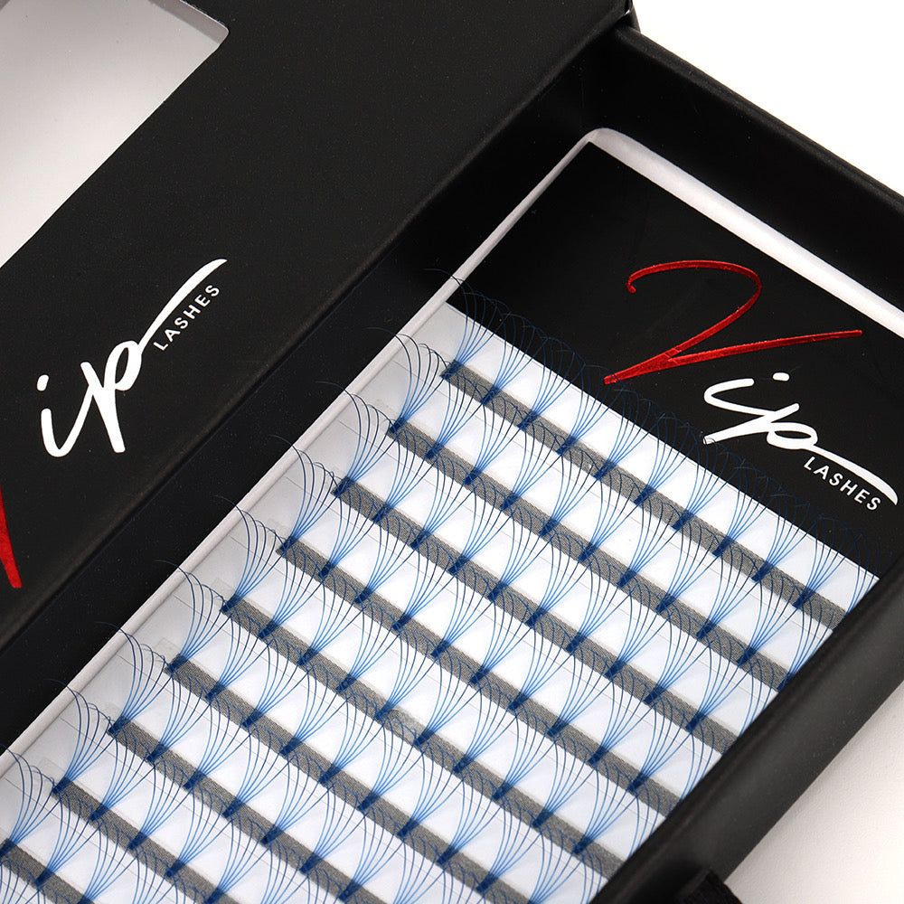 Blue 5D D curl 0.10 12 Row Trays - Black Trays
