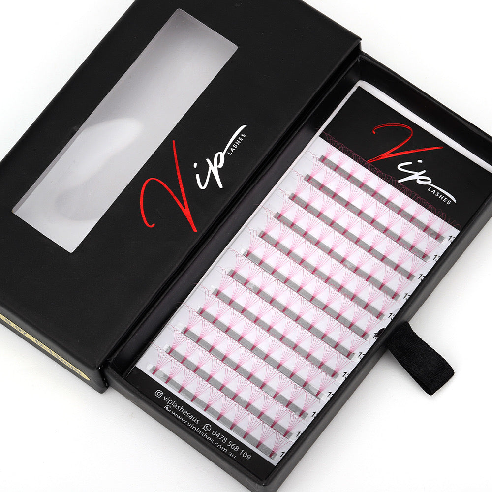 Pink 6D D curl 0.07 12 Row Trays - Black Trays