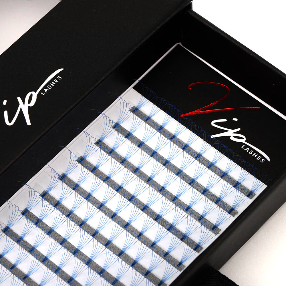 Blue 6D D curl 0.07 12 Row Trays - Black Trays