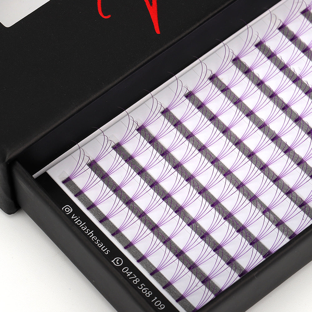 Purple 4D D curl 0.07 12 Row Trays - Black Trays