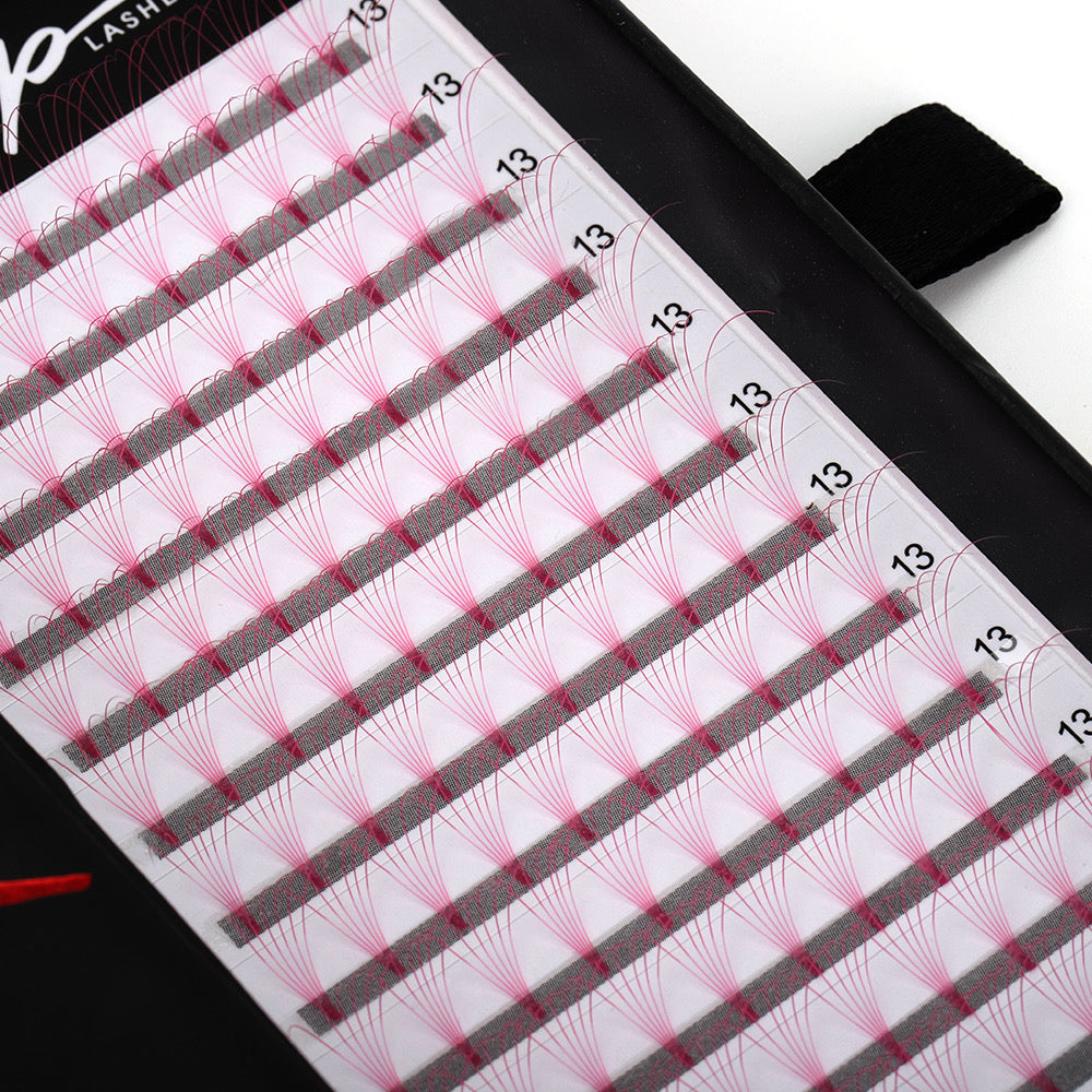 Pink 6D D curl 0.07 12 Row Trays - Black Trays
