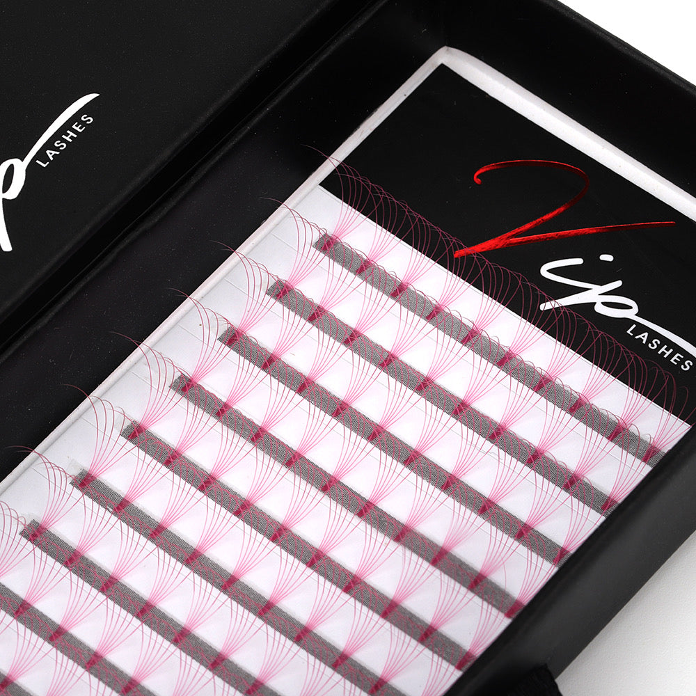Pink 6D D curl 0.07 12 Row Trays - Black Trays