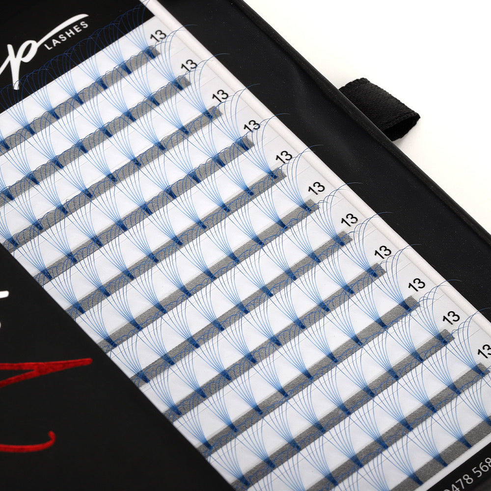 Blue 6D D curl 0.07 12 Row Trays - Black Trays