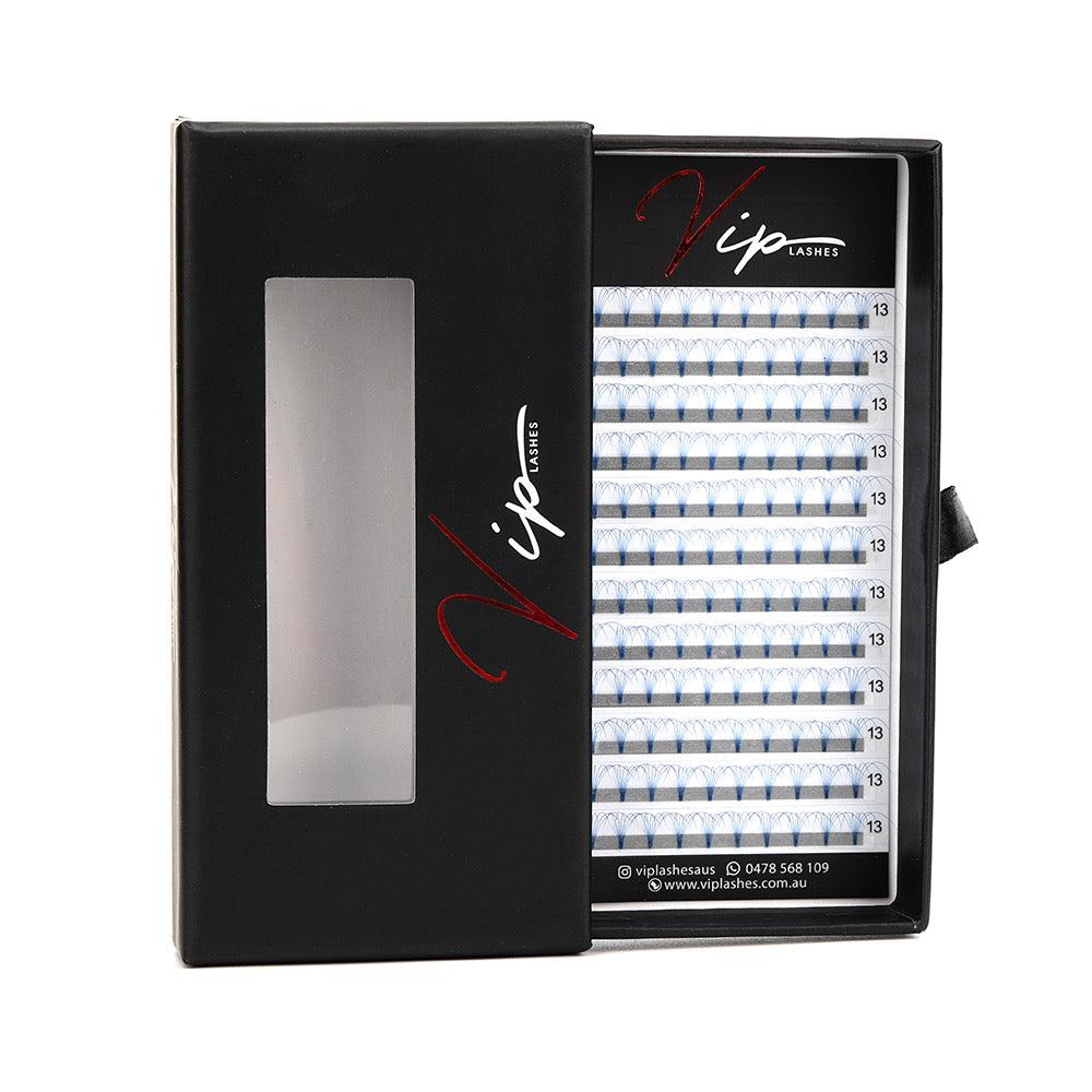 Blue 6D D curl 0.07 12 Row Trays - Black Trays