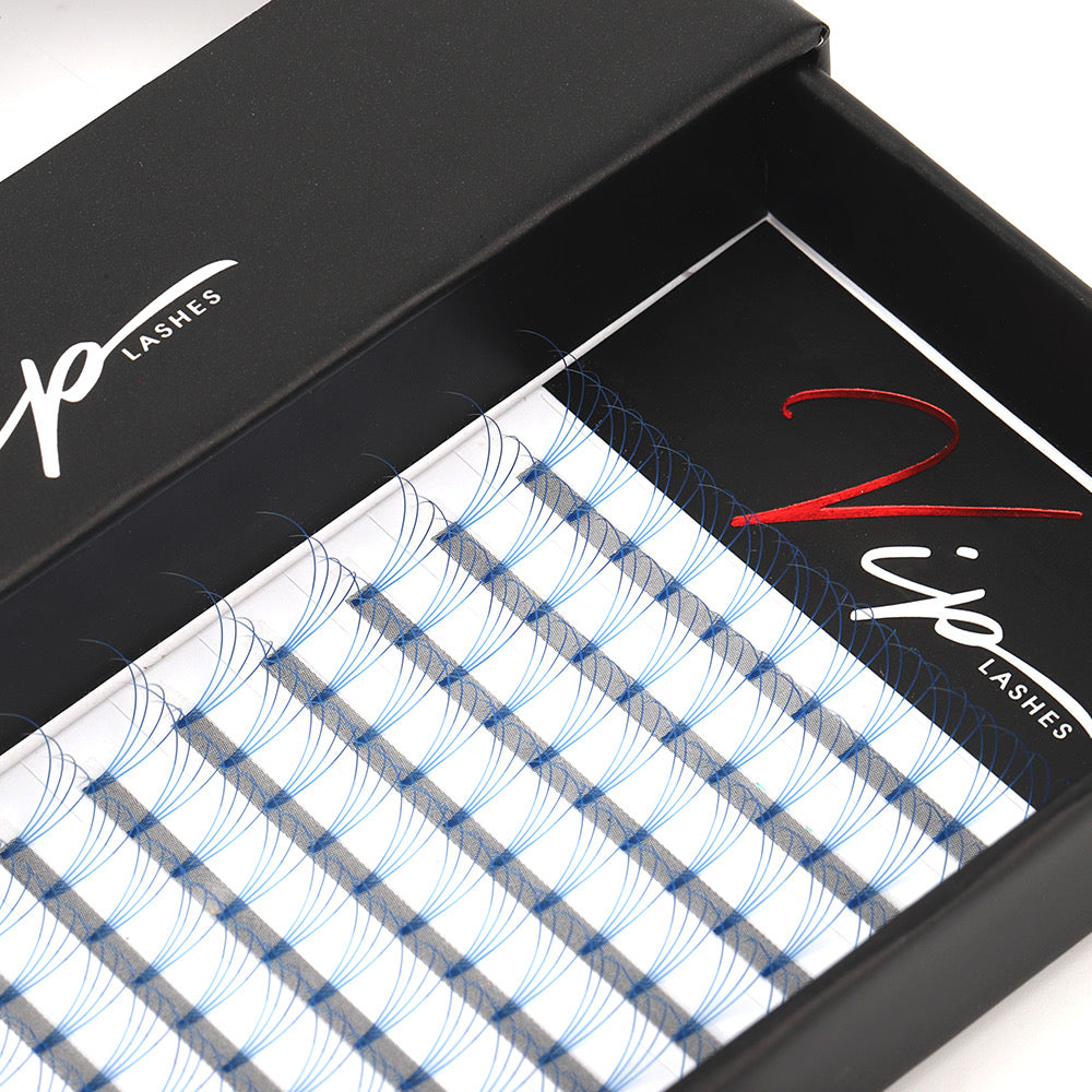Blue 4D D curl 0.07 12 Row Trays - Black Trays