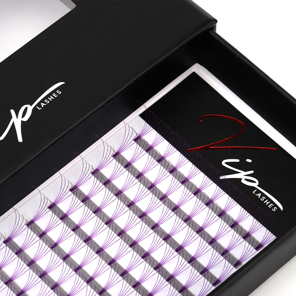 Purple 5D D curl 0.07 12 Row Trays - Black Trays