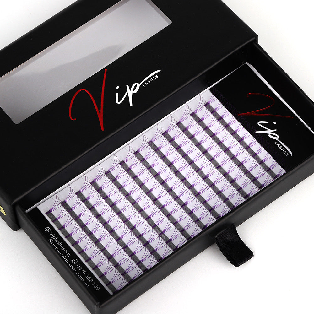 Purple 4D D curl 0.10 12 Row Trays - Black Trays